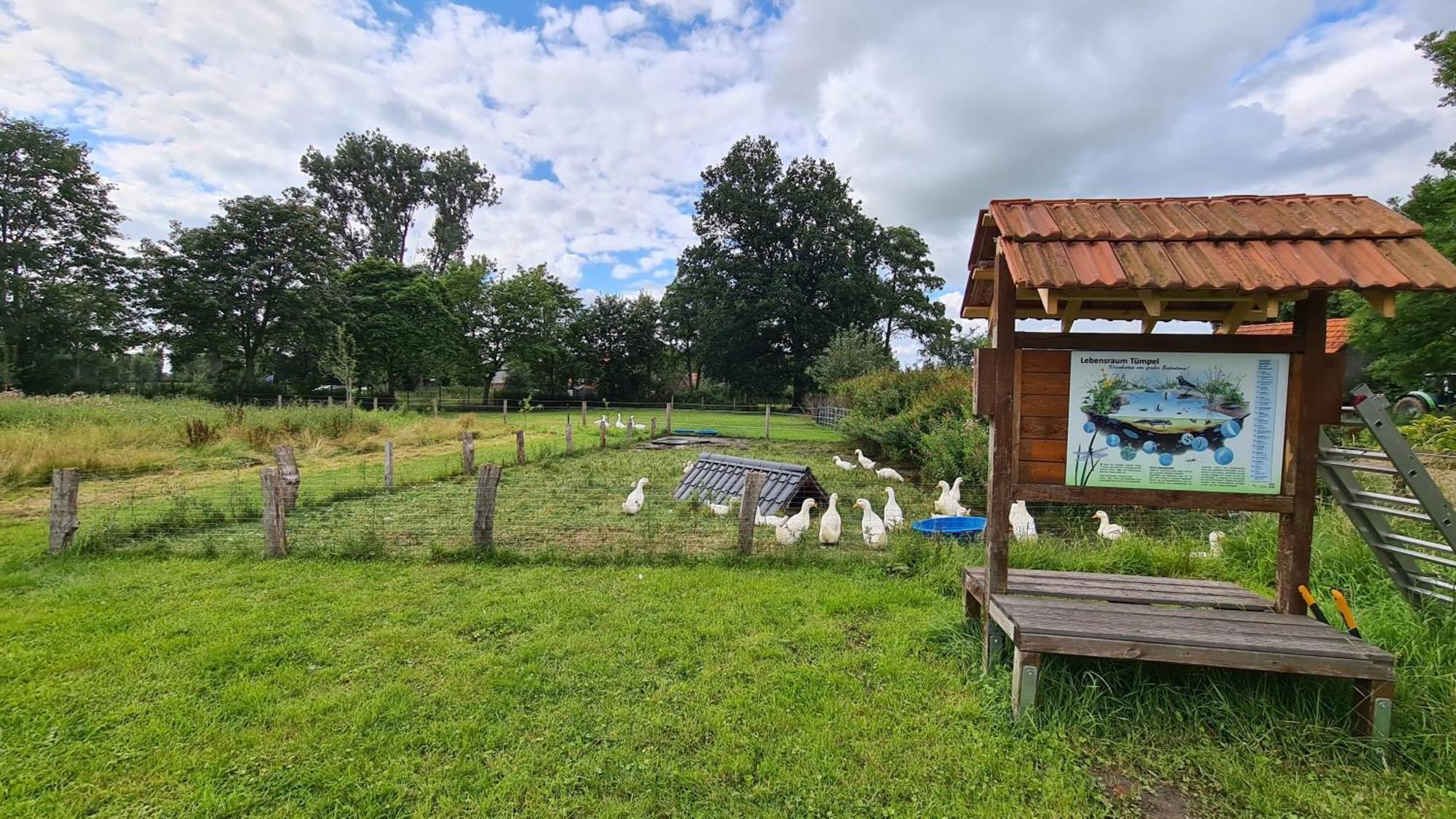 Naturhof Buschwiesen - Wohnung Lama Wilsum Exterior foto